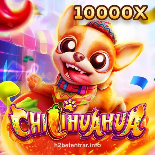Fachai Chihuahua Portrait